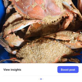 Daly's Fresh Seafood - #1 male crab - Seafood Markets Near Me - Mechanicsville, Maryland Daly's Fresh Seafood - #1 male crab - Seafood Markets Near Me - Mechanicsville, Maryland
