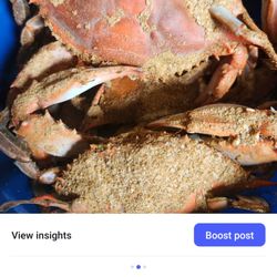 Daly's Fresh Seafood - #1 male crab