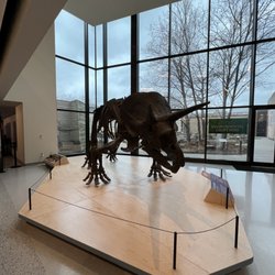 Cleveland Museum of Natural History - Interior