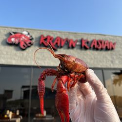 Krav’n K’asian - outside, instagram @kravnkasian