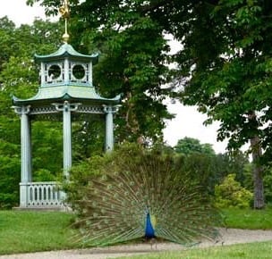 Parc Bagatelle - la Roseraie by null