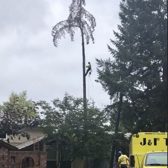 J & F Tree Service - Tree Services Near Me - Beaverton, Oregon