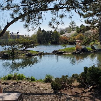 Japanese Gardens - Enjoy the benches along the water - Parks Near Me - Buffalo, New York