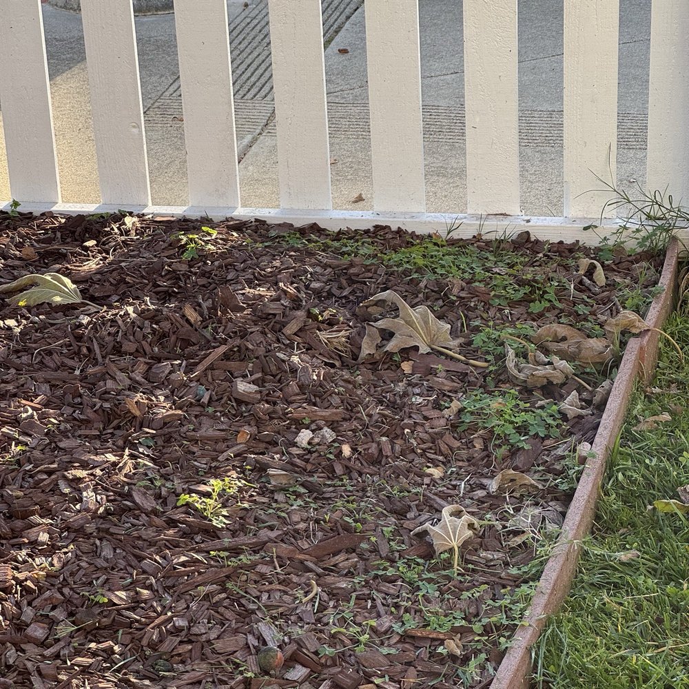 Speedy Gonzalez Landscapes - Where's the weed fabric? - Landscaping Near Me