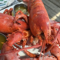 Twin Lobsters