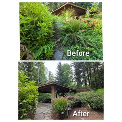 Le Landscape & Yardwork