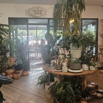 Bellwood Coffee - Coffee Roasteries Near Me - Atlanta, Georgia