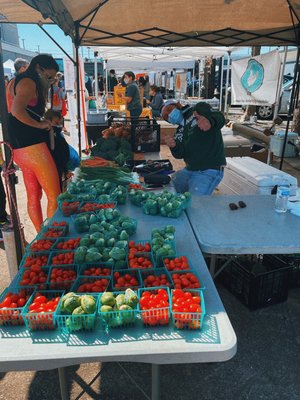 Rice Village by null