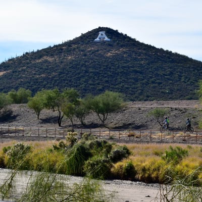 Tucson Bike Tours by null