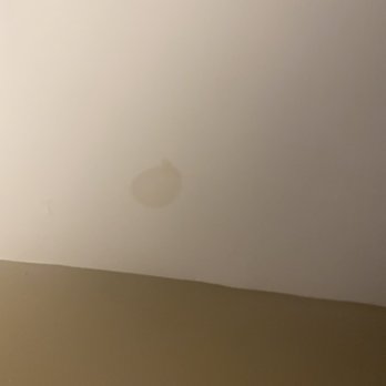 Blue Bell Villas - The ceiling I get every time it rains here. They cut it out, replace it, and then guess what happens the next time it rains? - Apartments Near Me - Blue Bell, Pennsylvania