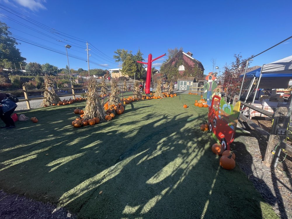 MAPLES FARM Updated September 2024 18 Photos & 13 Reviews 749 Rt 17M, Middletown, New York