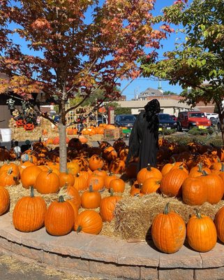 Farmers market in Kirkwood by null