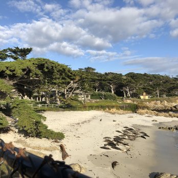 Pebble Beach - Beaches Near Me Pebble Beach - Beaches Near Me