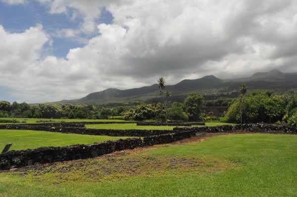Kahanu Garden, National Tropical Botanical Garden by null