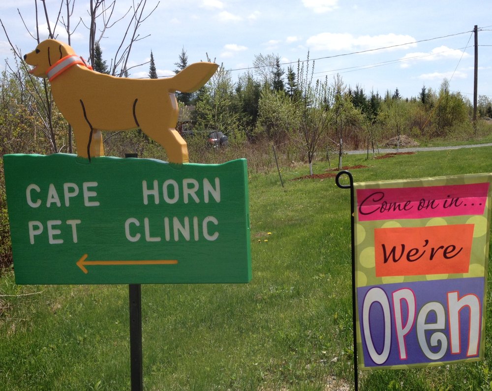CAPE HORN PET CLINIC Updated September 2024 3 Chellie Ln
