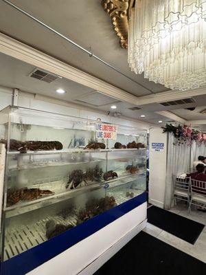 Sea Food Paradise by null