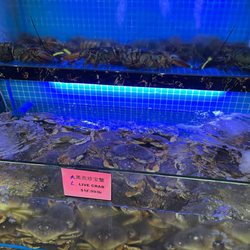 A Ming Seafood Market - Great selection of East coast lobster and Dungeness crab.