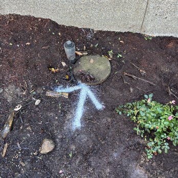 Pro Leak Detection - Plumbing Near Me