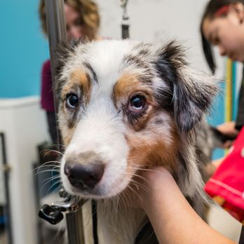 Nature's Select Pet Foods - Pet Stores Near Me - Overland Park, Kansas Nature's Select Pet Foods - Pet Stores Near Me - Overland Park, Kansas