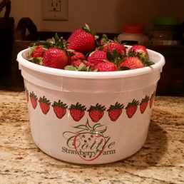 Delicious berries! Delicious berries!