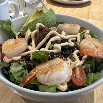 Nectar Cafe & Juice Bar - Quinoa Salad add Grilled Shrimp - Juice Bars & Smoothies Near Me - Lewes, Delaware Nectar Cafe & Juice Bar - Quinoa Salad add Grilled Shrimp - Juice Bars & Smoothies Near Me - Lewes, Delaware