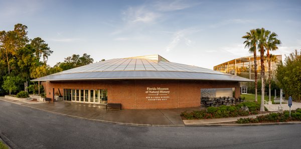 Florida Museum of Natural History by null