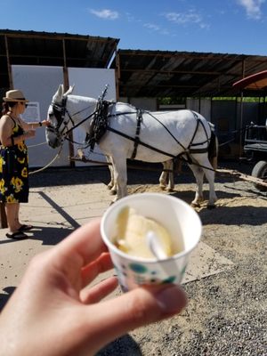 Clark Family Orchards by null