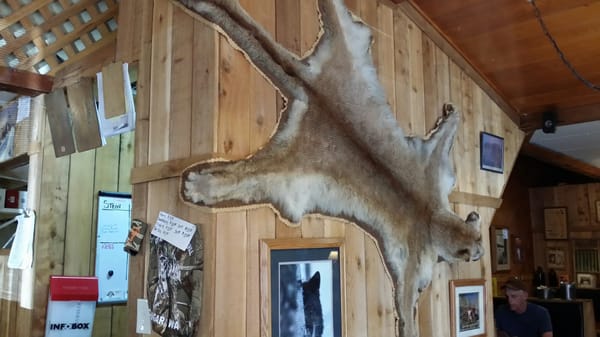 Cougar Bar & Grill by null