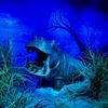Wonders of Wildlife National Museum & Aquarium gift card