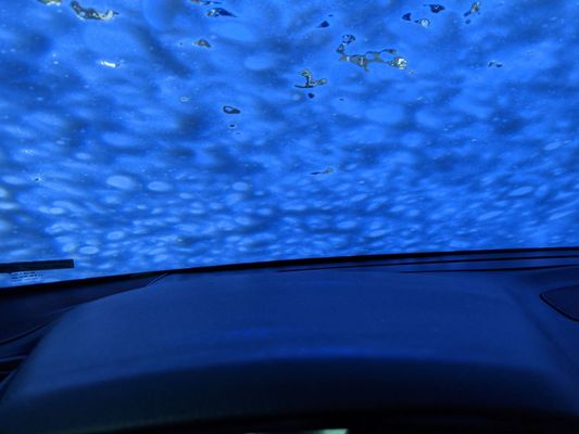 BILL’S CAR WASH - Updated April 2025 - 23 Photos - 5881 FL 507, Palm