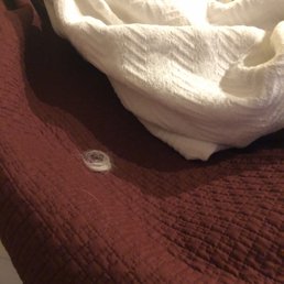 Grabbed the extra pillow and blanket above the ironing board in the closet area and DOG HAIR coated my entire bed. A clump even fell out. Grabbed the extra pillow and blanket above the ironing board in the closet area and DOG HAIR coated my entire bed. A clump even fell out.