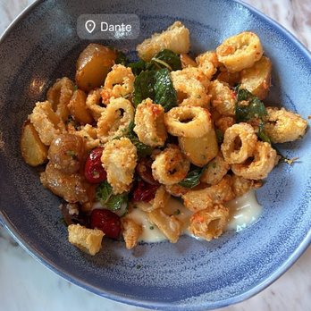 Dante - Fried Squid - Italian Near Me - Omaha, Nebraska Dante - Fried Squid - Italian Near Me - Omaha, Nebraska
