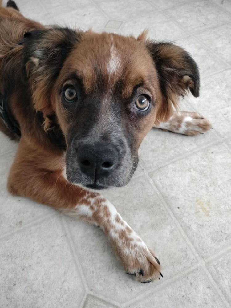 SOUND - Seattle - grief counselor in Seattle, WA