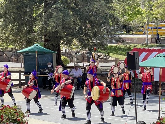 Cupertino Cherry Blossom Festival by null