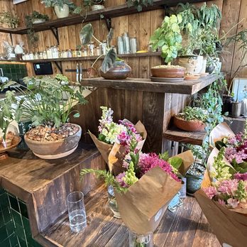 The Barista Botanist - Florals - Cafes Near Me - San Diego, California