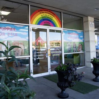 Puppy house - Don't trust the promises above the door! - Pet Stores Near Me - Washington, Utah Puppy house - Don't trust the promises above the door! - Pet Stores Near Me - Washington, Utah