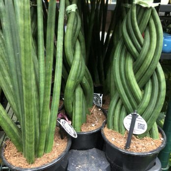 Natty Garden - Nurseries & Gardening Near Me - Brooklyn, New York Natty Garden - Nurseries & Gardening Near Me - Brooklyn, New York