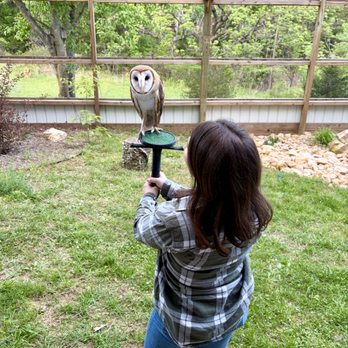 Raptor Hill Falconry - Specialty Schools Near Me - Stanley, Virginia