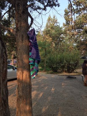 Tumalo State Park by null