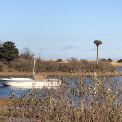 Cape Poge Wildlife Refuge