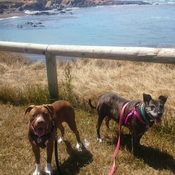 Sea Otter Inn - 152 Photos & 121 Reviews - Hotels - 6656 Moonstone