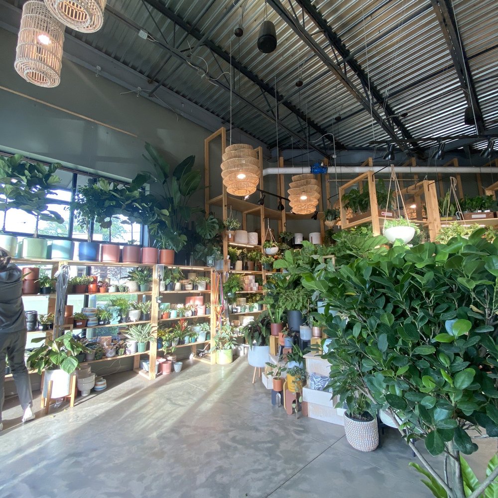 PlantHouse - Nurseries & Gardening Near Me - Charlotte, North Carolina PlantHouse - Nurseries & Gardening Near Me - Charlotte, North Carolina