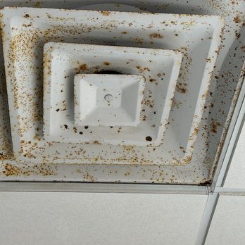 Wendy's - Same same. Rust spit now. Paint going into the air in your food. - Burgers Near Me - Fort Myers, Florida Wendy's - Same same. Rust spit now. Paint going into the air in your food. - Burgers Near Me - Fort Myers, Florida