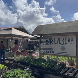 Everoak Farm - Everoak sign