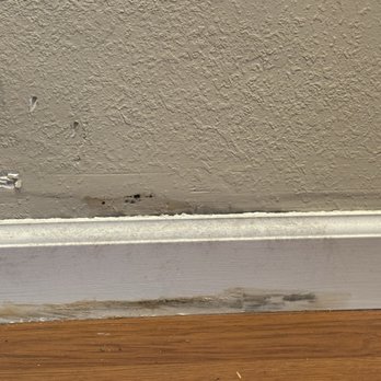 Five Star Water Heaters - Mold and mdf board all soft - Water Heater Installation/Repair Near Me Five Star Water Heaters - Mold and mdf board all soft - Water Heater Installation/Repair Near Me