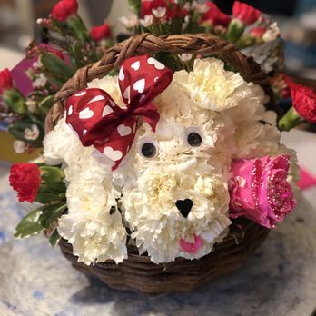 Kim's Secret Garden Florist - Flowers arranged to look like a dog! - Florists Near Me - Edenton, North Carolina Kim's Secret Garden Florist - Flowers arranged to look like a dog! - Florists Near Me - Edenton, North Carolina