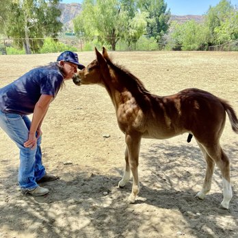 Eastside Ranch - Horseback Riding Near Me - Redlands, California Eastside Ranch - Horseback Riding Near Me - Redlands, California