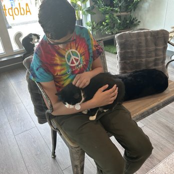 Perk and Paws Cat Cafe - This was a neat experience. Enjoy a coffee and some cat paws :) - Themed Cafes Near Me - Torrington, Connecticut Perk and Paws Cat Cafe - This was a neat experience. Enjoy a coffee and some cat paws :) - Themed Cafes Near Me - Torrington, Connecticut