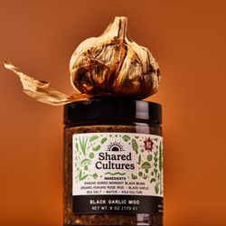 Shared Cultures - Black Garlic Miso