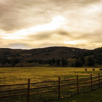 Sunburst Sanctuary - Peace and tranquility abound. - Meditation Centers Near Me - Lompoc, California